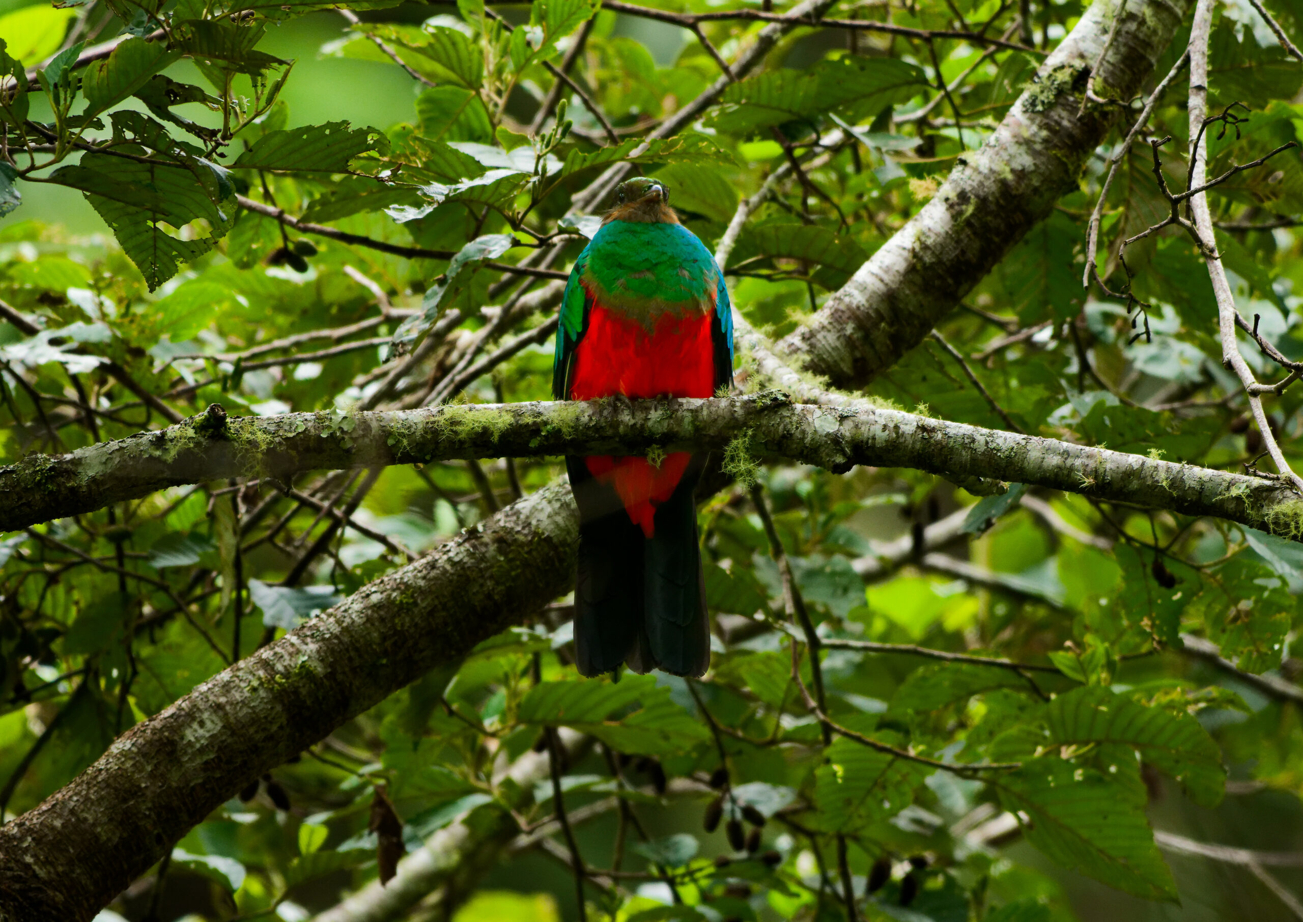 DSC03304_DxO