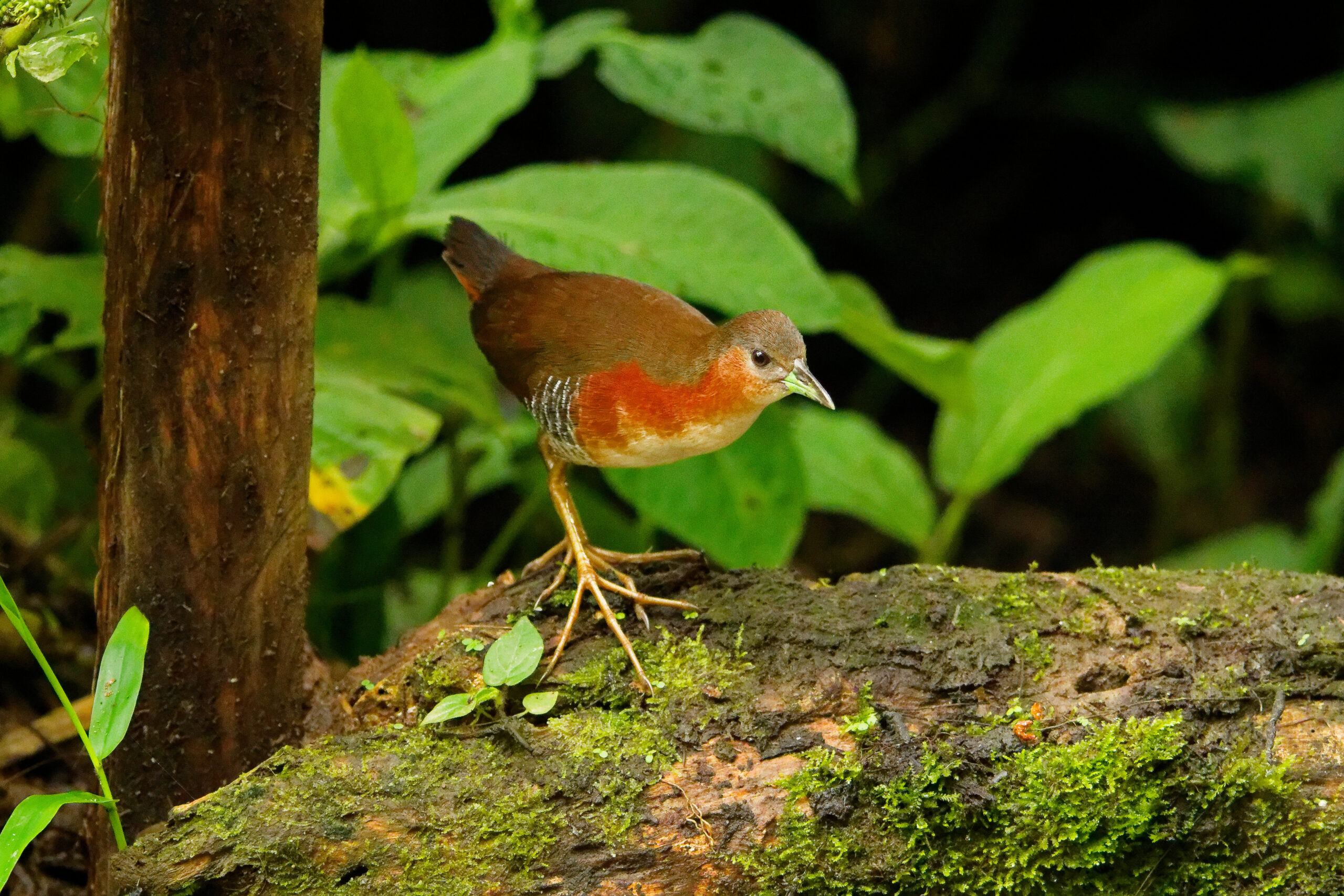 DSC03562_DxO
