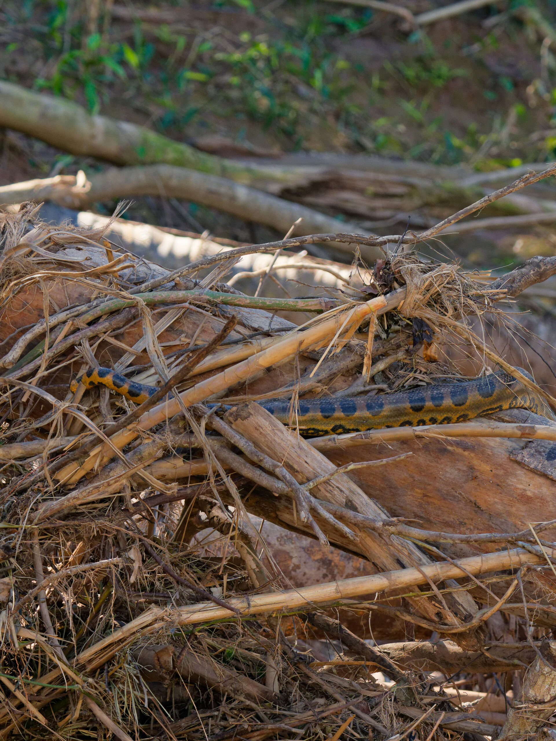 DSC06961_DxO