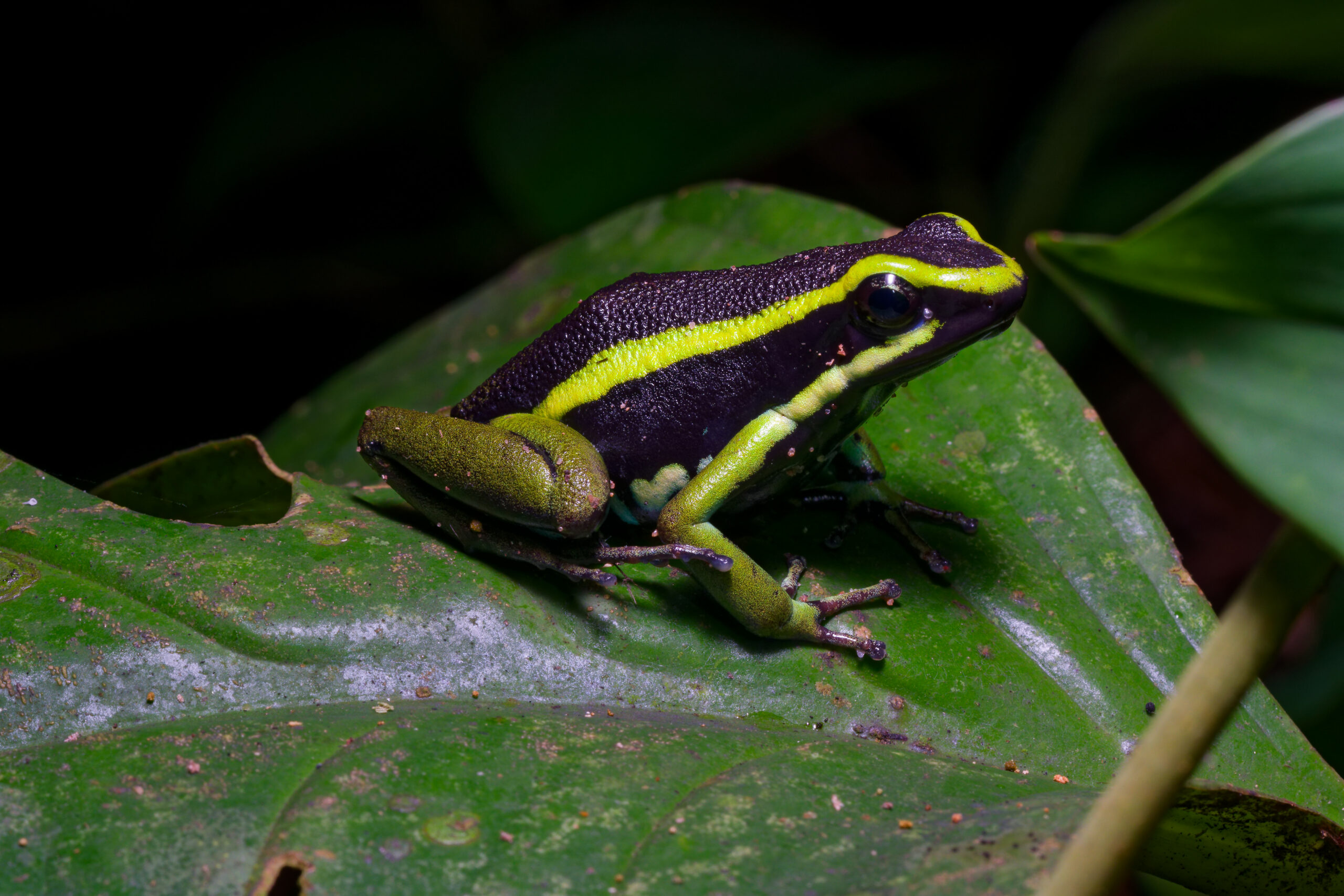 DSC01734_DxO
