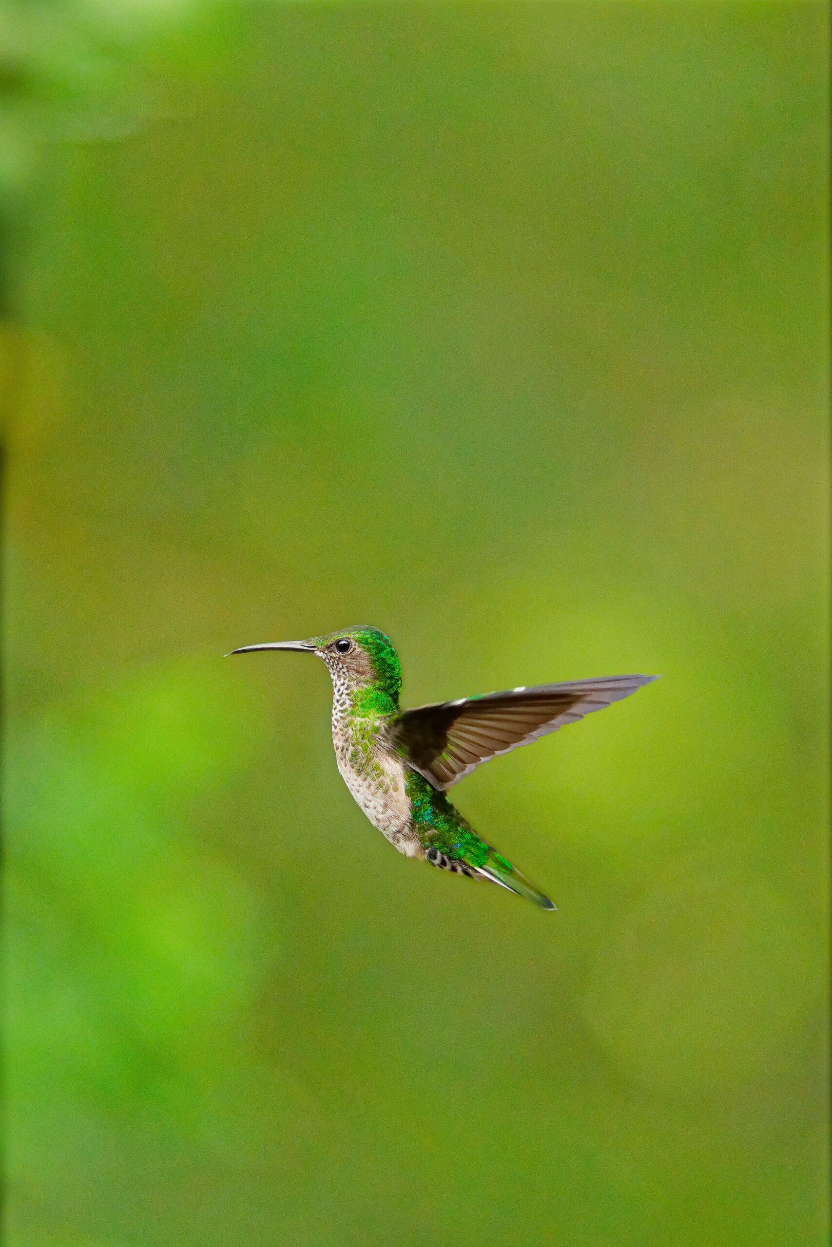 DSC03492_DxO