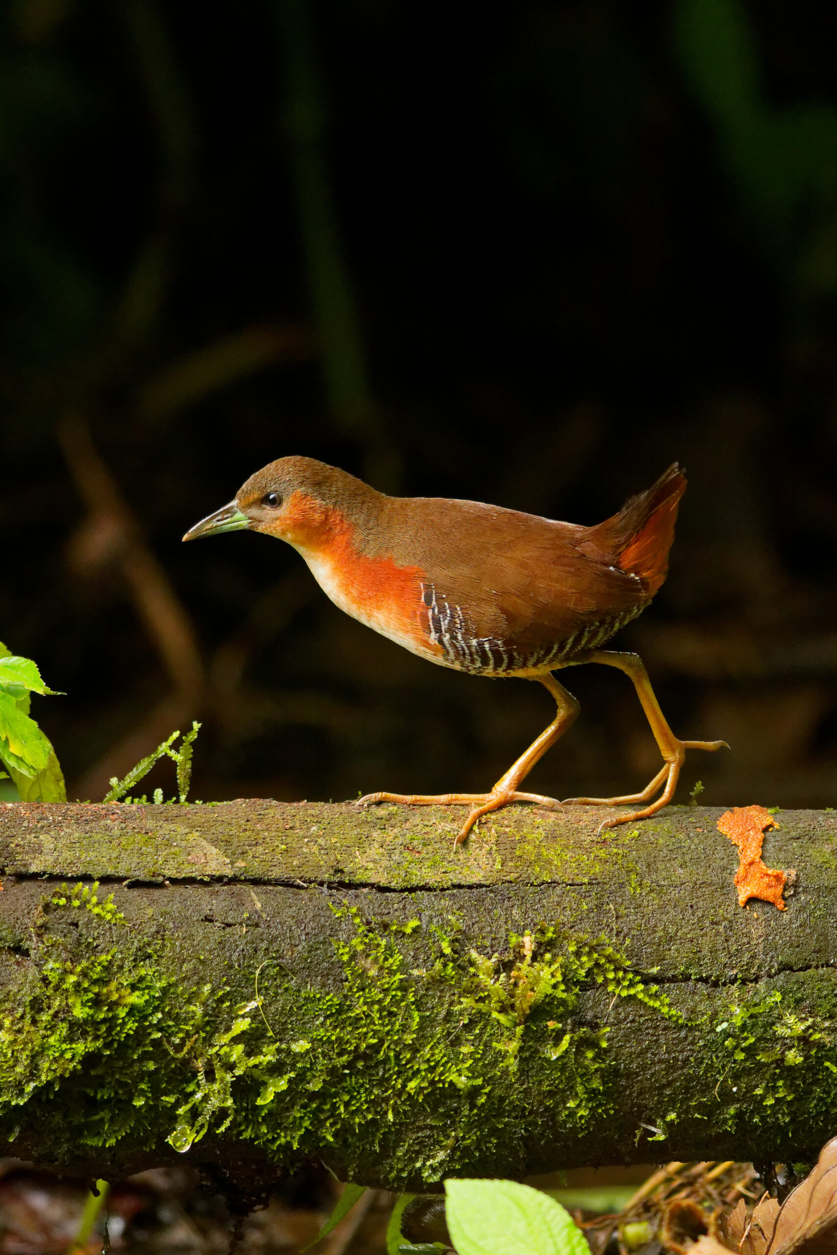 DSC03566_DxO