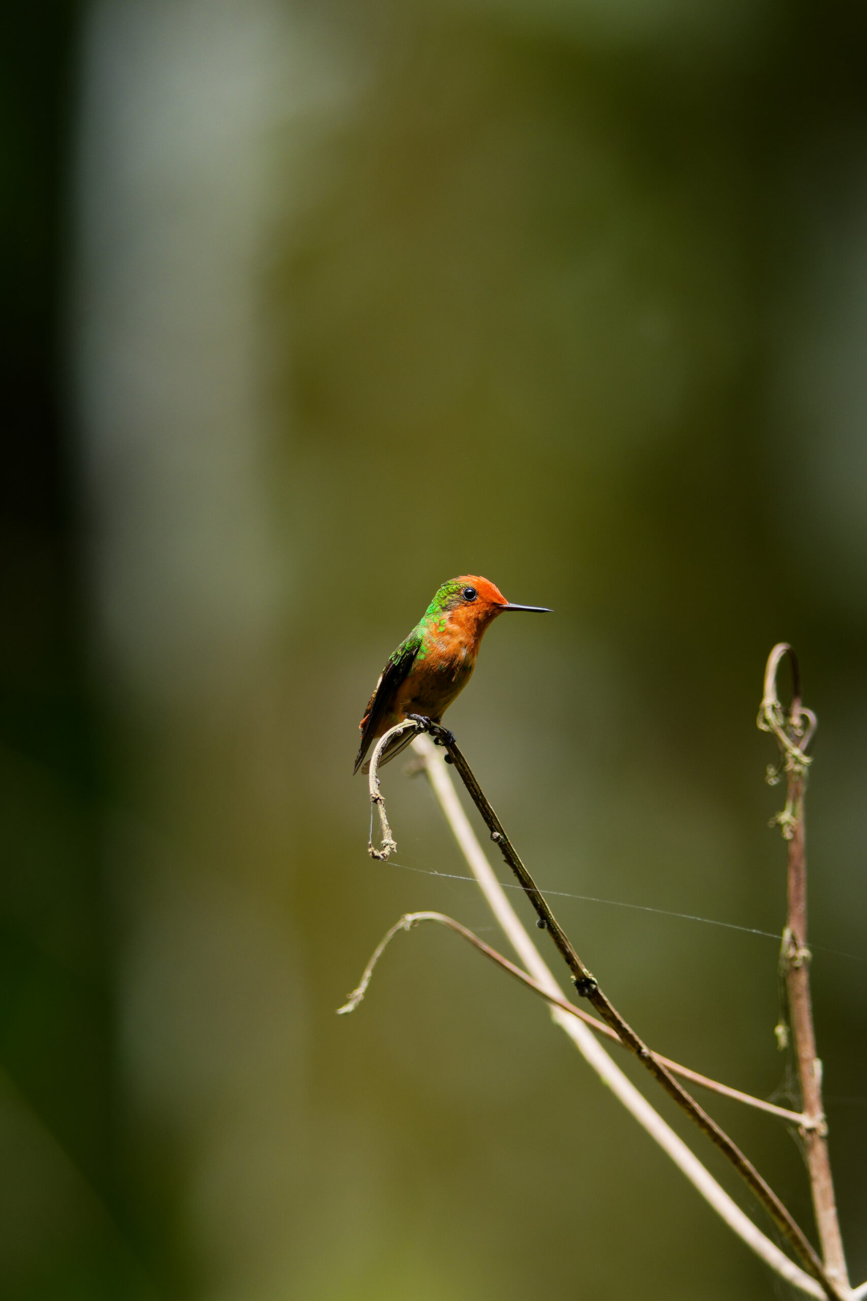 DSC03664_DxO