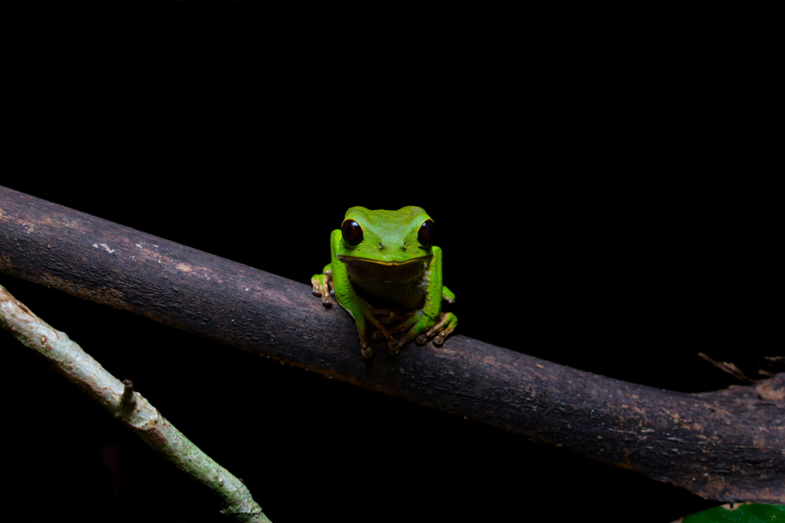 DSC08492_DxO